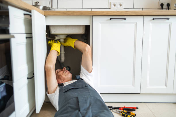 Best Plumbing Inspections & Maintenance in Westlake Village, CA